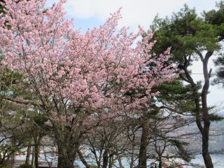 2025-04-27(日)