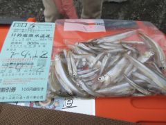 2025.09.12 (金) わかさぎの釣果