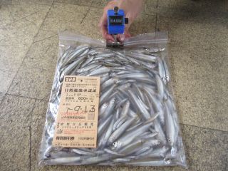 2025-09-13(土)