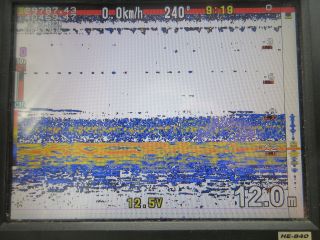 2025-09-15(月)
