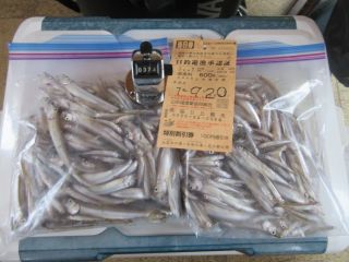 2025-09-20(土)