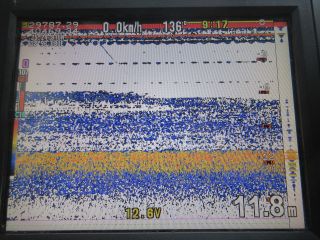 2025-09-29(月)