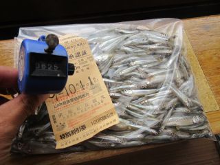 2025-10-11(土)