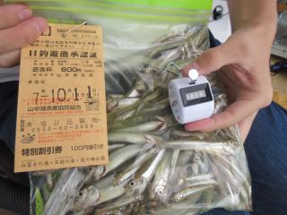 2025-10-11(土)
