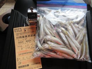 2025-10-21(火)